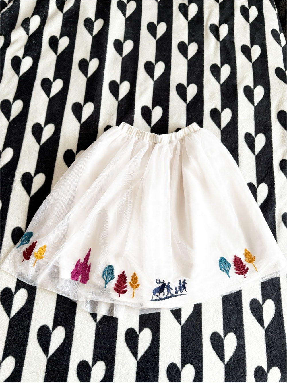 Hanna Andersson Disney Frozen 2 Tulle Skirt Embroidered